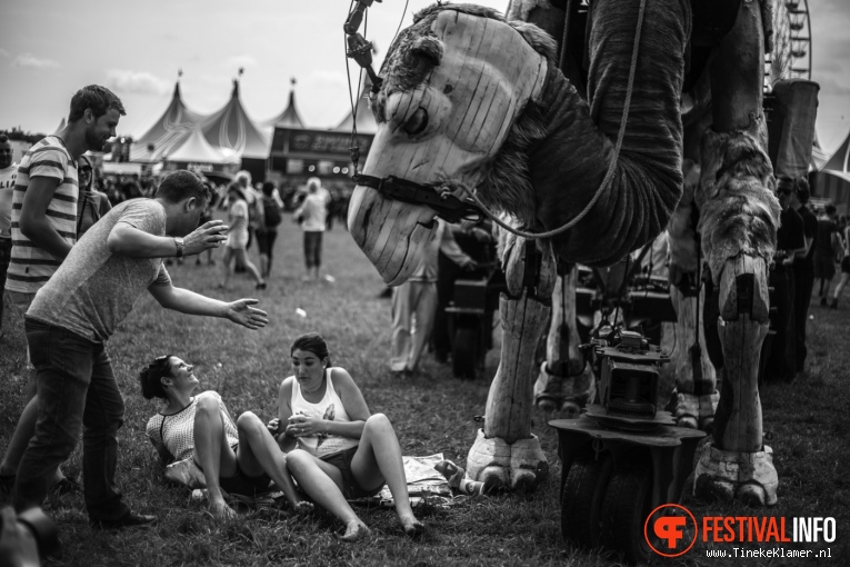 Zwarte Cross 2016 - sfeerverslag foto