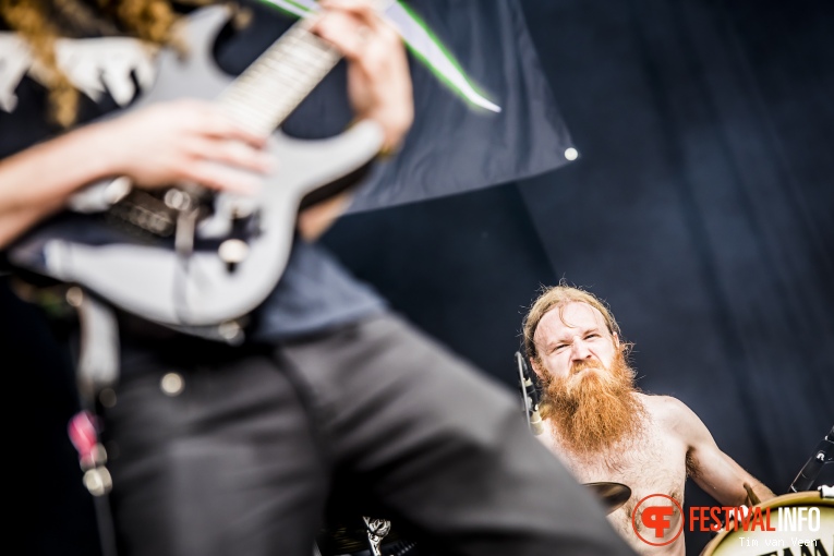 Vektor op Into The Grave 2016 foto