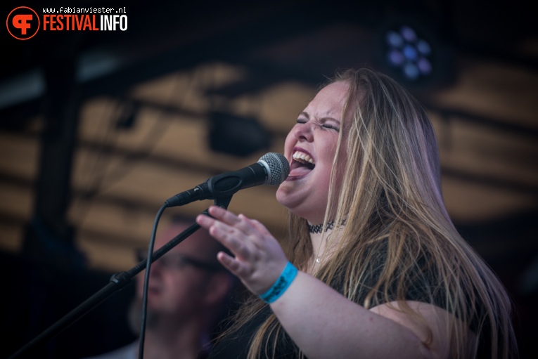 The Acid Affliction op Koppelpop 2016 foto