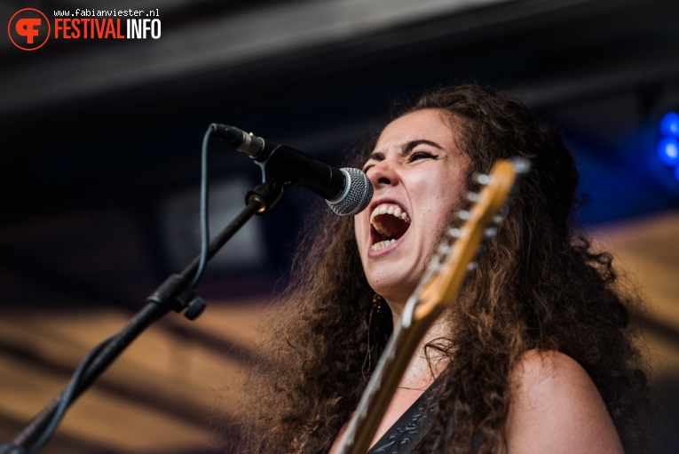 The Acid Affliction op Koppelpop 2016 foto