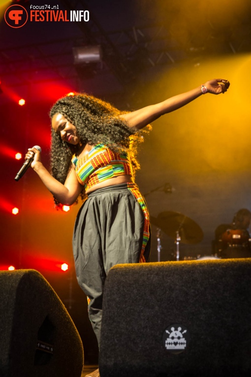 NAO op Lowlands 2016 - Vrijdag foto