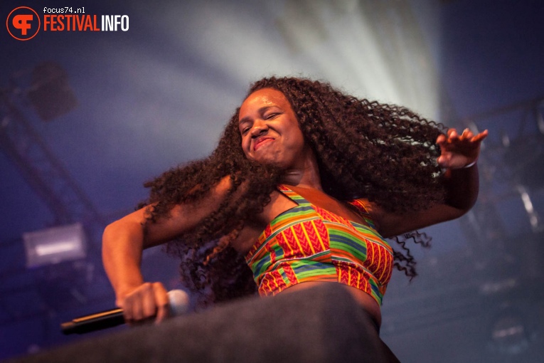 NAO op Lowlands 2016 - Vrijdag foto