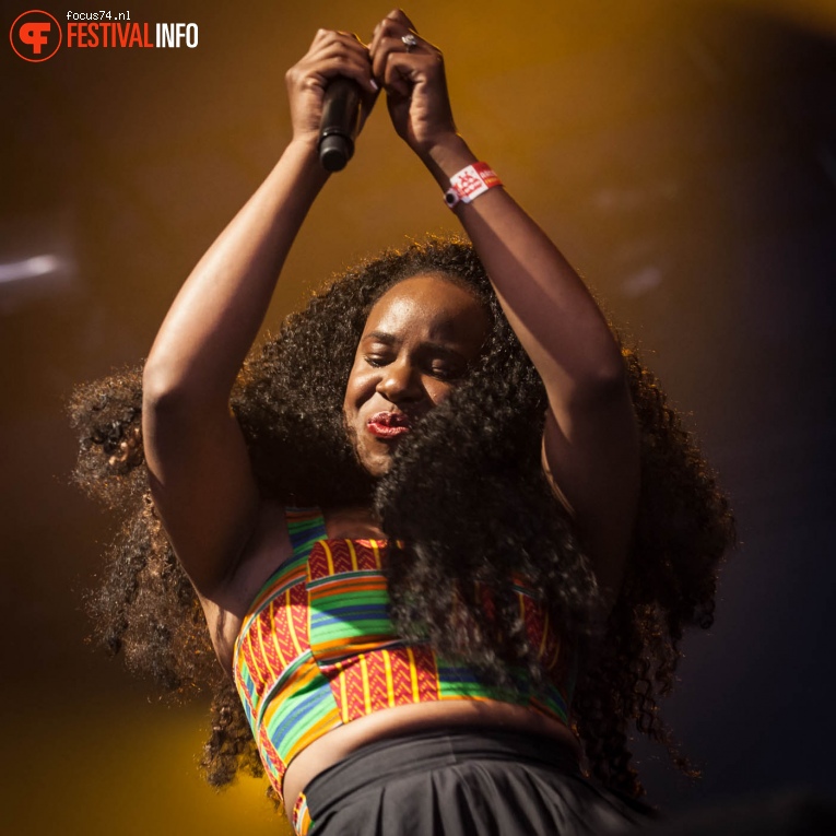 NAO op Lowlands 2016 - Vrijdag foto