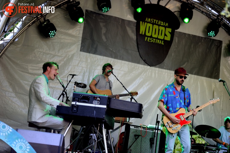 Bent van Looy op Amsterdam Woods Festival 2016 - vrijdag foto