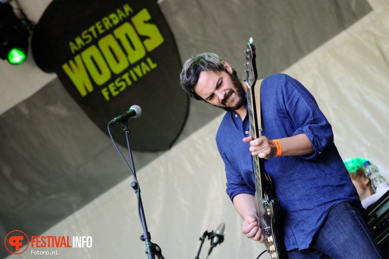 Bent van Looy op Amsterdam Woods Festival 2016 - vrijdag foto