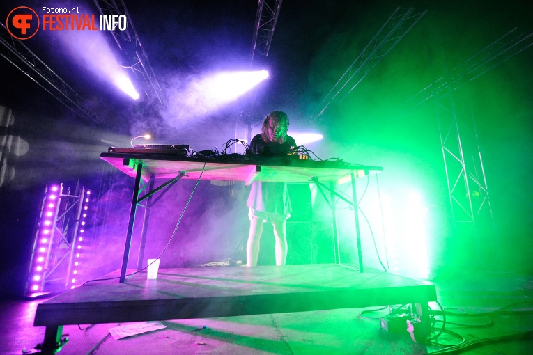 Palmbomen II op Amsterdam Woods Festival - Zaterdag foto