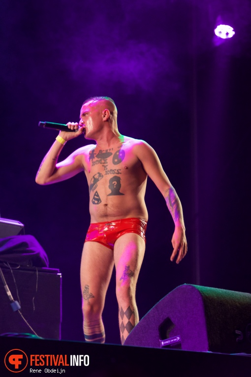 De Likt op Appelpop 2016 foto