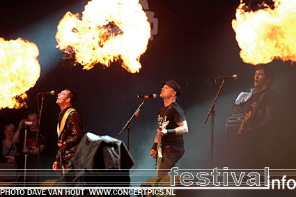 Heideroosjes op Lowlands 2007 foto