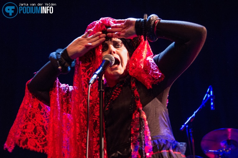 Foto Lene Lovich Band op Lene Lovich Band - 07/10 - Nieuwe Nor