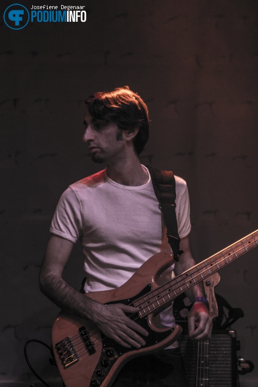 Diggy Dex op Diggy Dex - 8/10 - Paard van Troje foto