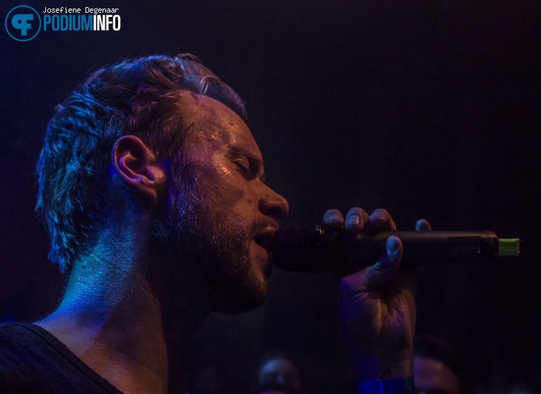 Foto Diggy Dex op Diggy Dex - 8/10 - Paard van Troje