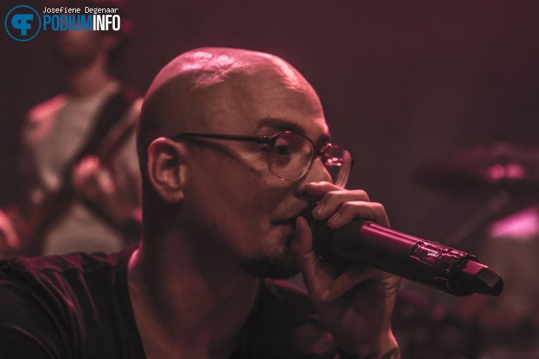 Diggy Dex - 8/10 - Paard van Troje foto
