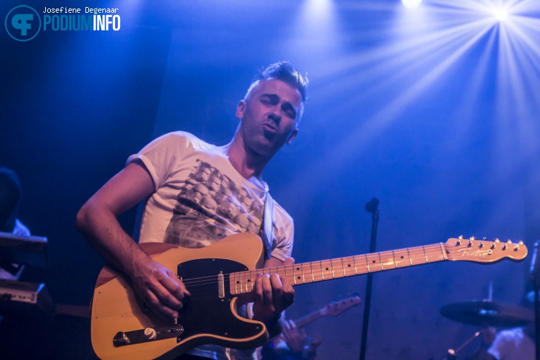 Diggy Dex op Diggy Dex - 8/10 - Paard van Troje foto
