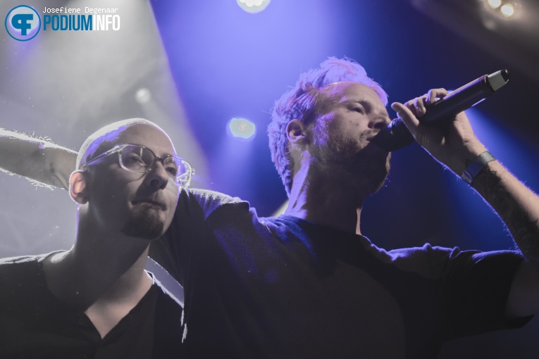 Foto Diggy Dex op Diggy Dex - 8/10 - Paard van Troje