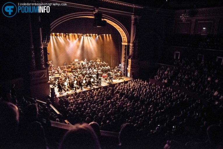 Kovacs op Kovacs / Metropole Orkest - 29/10 - Koninklijk theater Carré foto