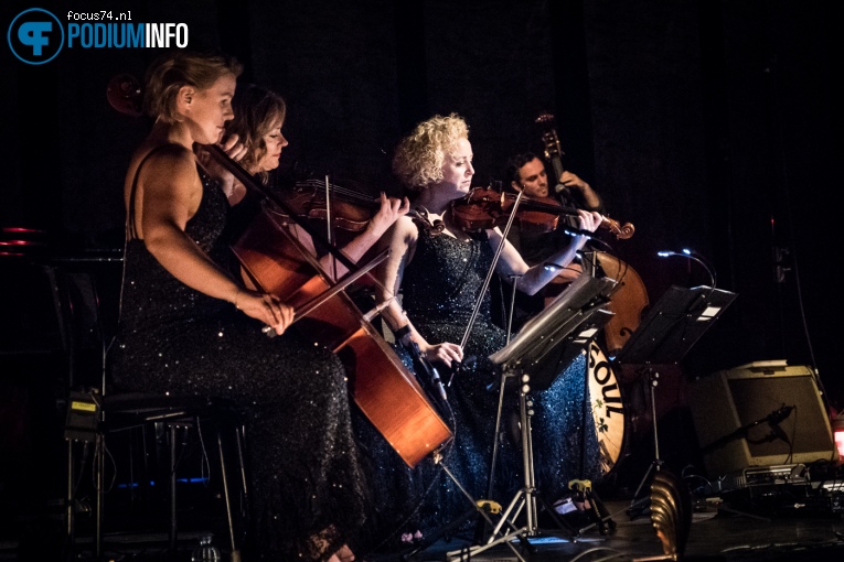 Glen Hansard op Glen Hansard - 21/11 - Koninklijk Theater Carré foto