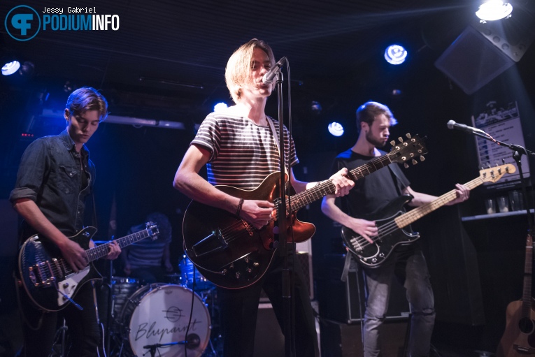 Blupaint op Blupaint - 23/11 - Winston foto