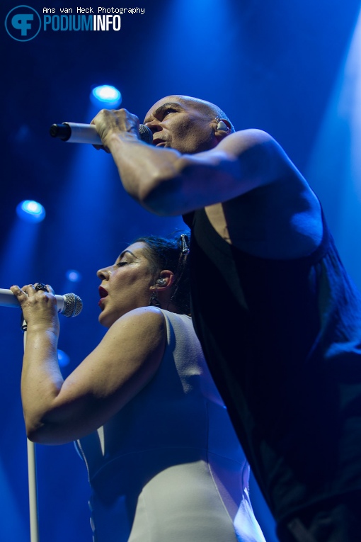 Foto The Human League op The Human League - 18/11 - Paradiso