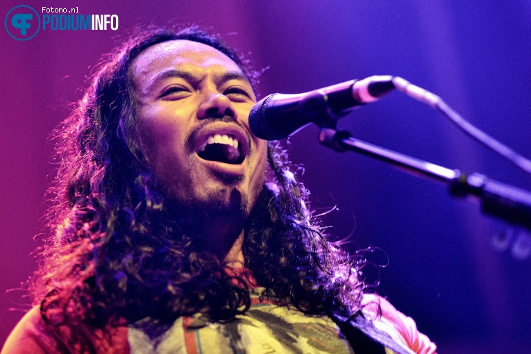 The Temper Trap op The Temper Trap - 14/12 - Paradiso foto