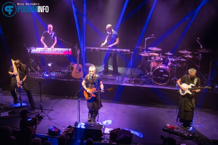 Lazuli op Lazuli - 7/12 - Boederij foto