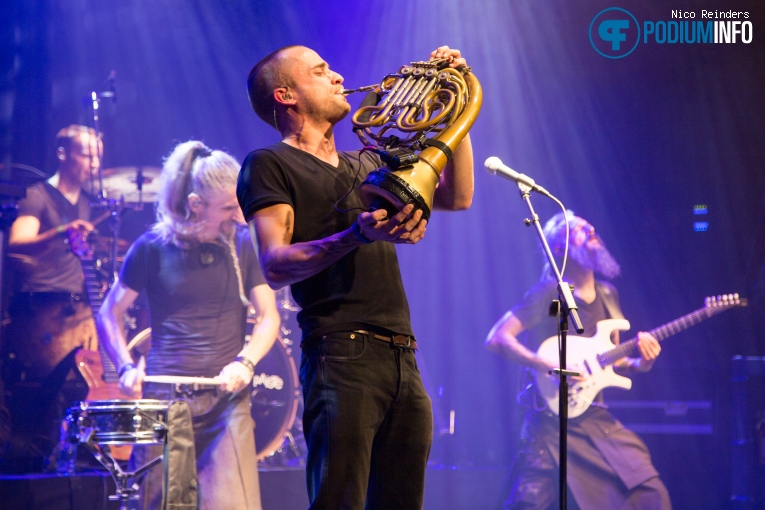 Lazuli op Lazuli - 7/12 - Boederij foto