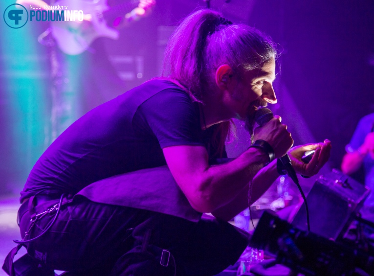 Lazuli op Lazuli - 7/12 - Boederij foto