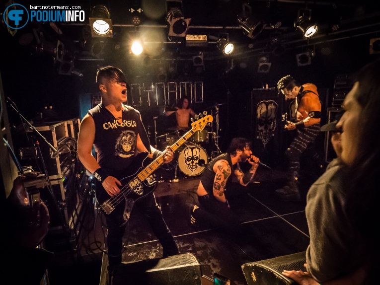 Doyle - 7/2 - Dynamo foto