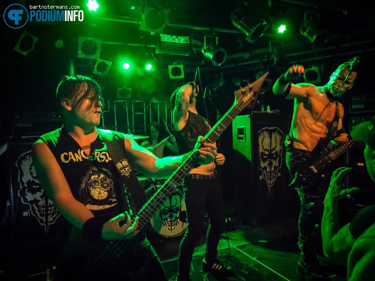 Doyle - 7/2 - Dynamo foto