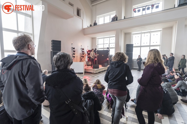 Tamino op Grasnapolsky 2017 - Zaterdag foto