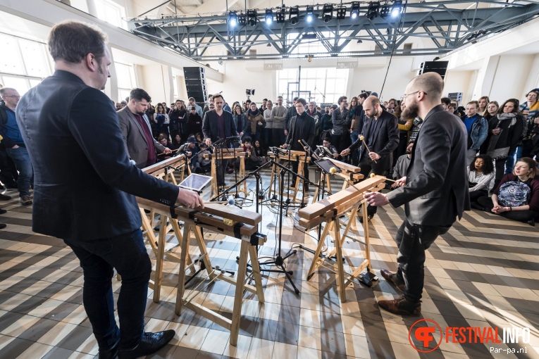 Slagwerk Den Haag op Grasnapolsky 2017 - Zondag foto