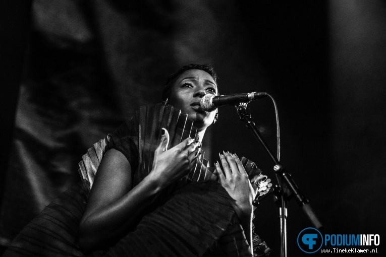 Foto Bonobo op Bonobo - 20/02 - Paradiso