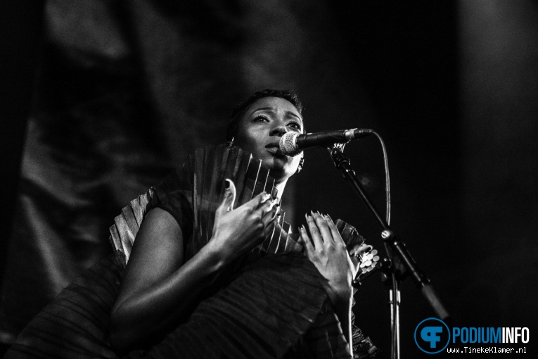 Bonobo op Bonobo - 20/02 - Paradiso foto