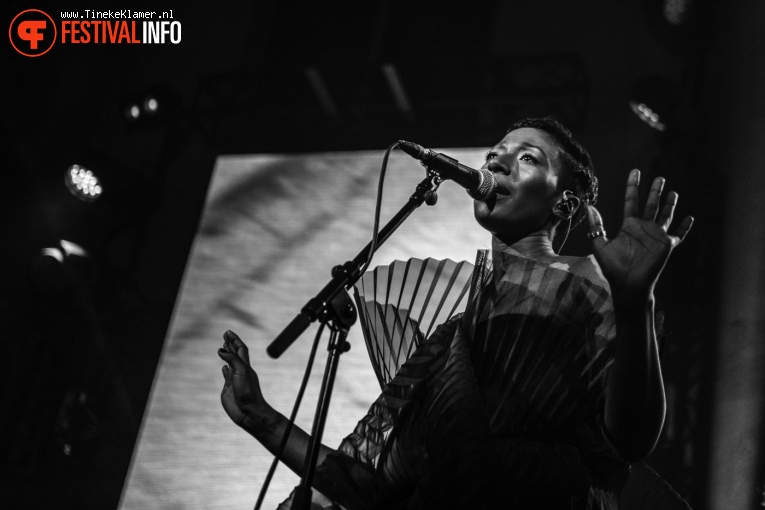 Bonobo op Bonobo - 20/02 - Paradiso foto