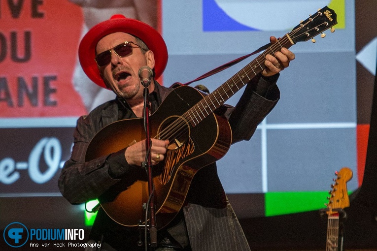 Elvis Costello op Elvis Costello - 08/03 - Koninklijk Theater Carré foto