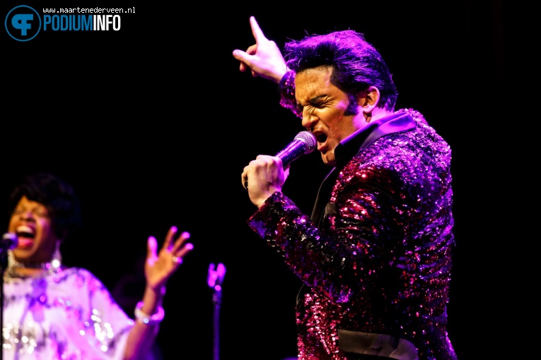 Dwight Icenhower op The Elvis Concert - 25/04 - Paard foto