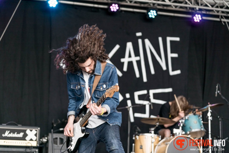 Cocaine Piss op Groezrock 2017 - Zaterdag foto