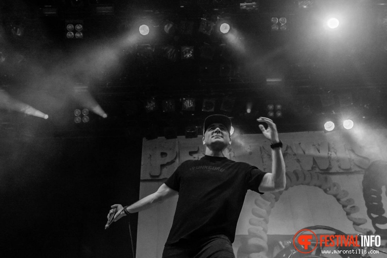 Pennywise op Groezrock 2017 - Zondag foto