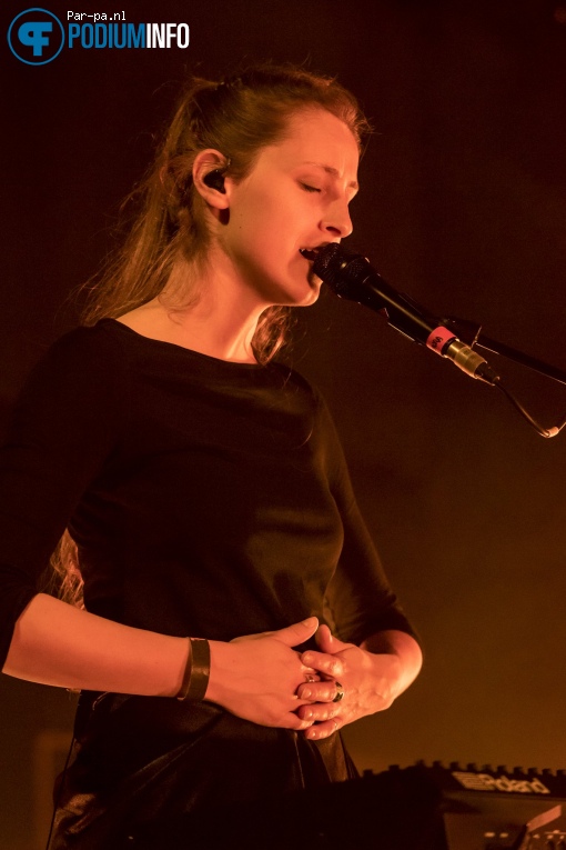 Ozark Henry op Ozark Henry - 03/05 - Paradiso Noord foto
