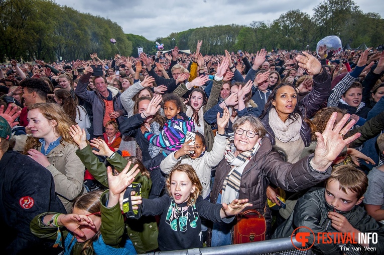 Bevrijdingsfestival Utrecht 2017 foto