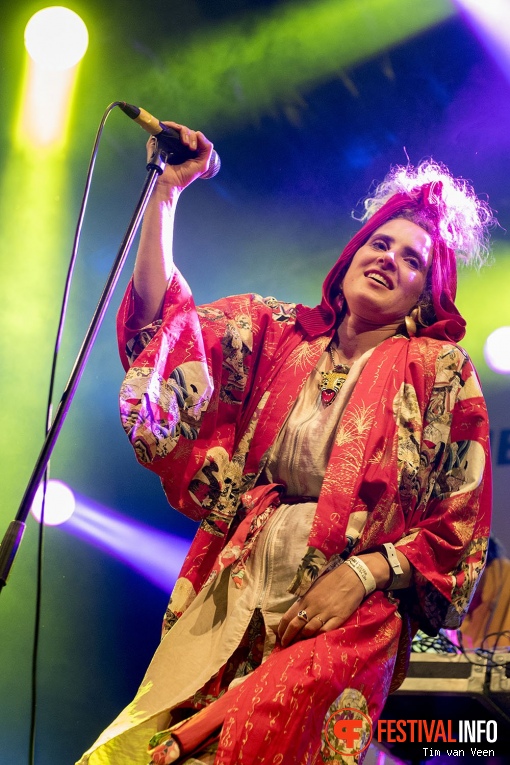 Skip & Die op Bevrijdingsfestival Utrecht 2017 foto