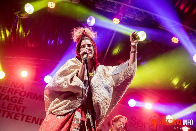 Skip & Die op Bevrijdingsfestival Utrecht 2017 foto