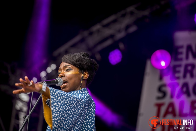 Pink Oculus op Bevrijdingsfestival Utrecht 2017 foto