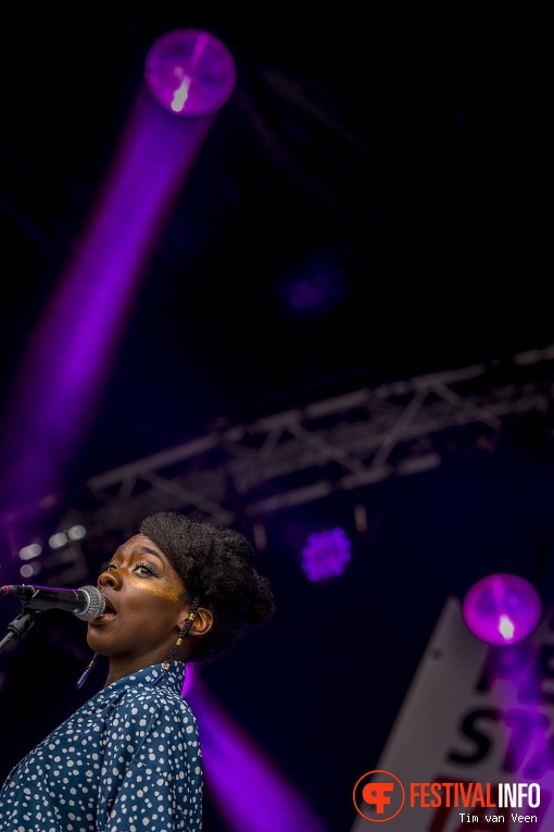 Pink Oculus op Bevrijdingsfestival Utrecht 2017 foto