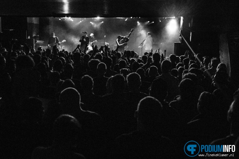 DMA's op DMA's 06/05 - Paradiso Noord foto