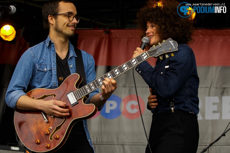 Bevrijdingsfestival Den Haag 2017 foto