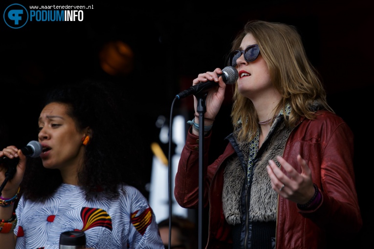 Sama Cosa op Bevrijdingsfestival Den Haag 2017 foto