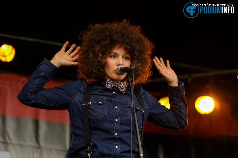 Bevrijdingsfestival Den Haag 2017 foto