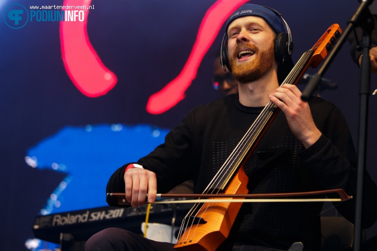 Brainpower op Bevrijdingsfestival Den Haag 2017 foto