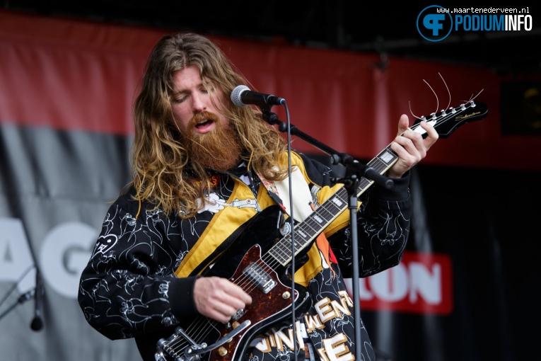 Bevrijdingsfestival Den Haag 2017 foto