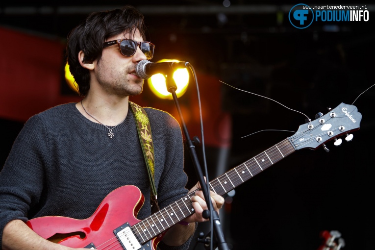 Bevrijdingsfestival Den Haag 2017 foto